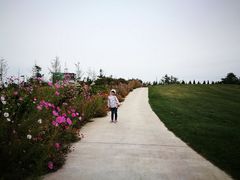 -泰生小镇旅游景区