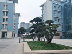 -金陵中学(河西分校)