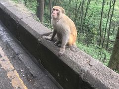 -黔灵山公园