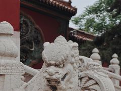 -北陵公园
