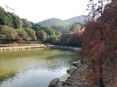 -广州市帽峰山景区