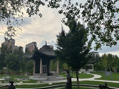 -东北农业大学