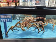 -麦德龙(郑东店)