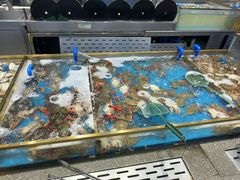 -半岛听涛蒸汽海鲜自助(K11店)