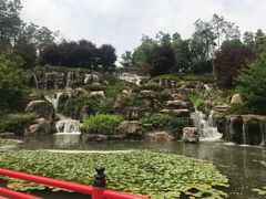 -秀丽东方