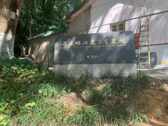 -马王堆汉墓遗址