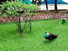 -昆明动物园