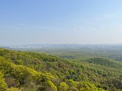 -紫金山山顶公园