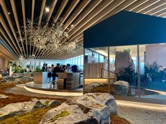 -Seesaw Coffee(朝阳大悦城店)