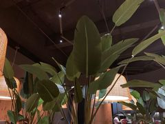 -太泰(万象城店)