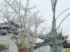 -苏州上方山国家森林公园