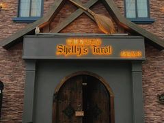 -雪灵魔法世界SHELLY’S TAROT(大良桂畔里店)