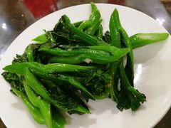 姜汁炒芥兰-蚝专家(北滘店)