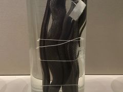 -四川大学博物馆