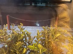 -食悦江南·淮扬菜·烤鸭(亚运村·惠新店)