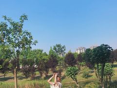-眉山湿地公园(东坡区)