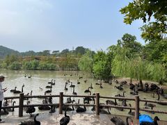 -宁波野生动物园
