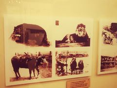 -北京动物园-畅观楼