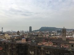 -巴塞罗那主教座堂