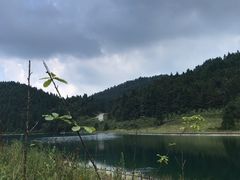 -武陵山森林公园