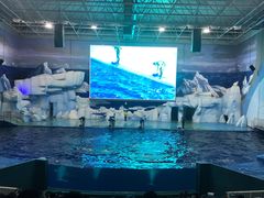 -福州罗源湾海洋世界旅游区