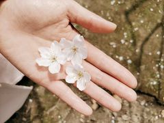 -苏州河梦清园环保主题公园