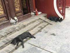 -长春观