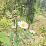 农村溜娃不比城里差呀