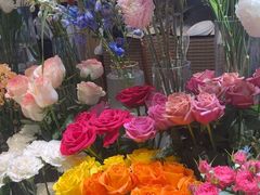 -谷莠子花艺·气球派对·绿植造景·花艺沙龙(金光华广场店)