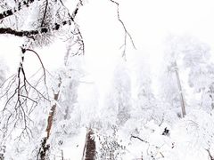 -瓦屋山景区