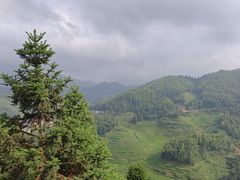 -紫鹊界梯田景区
