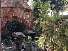 -二荆条·蜀鲜汇城市森林火锅