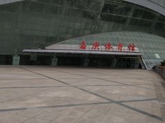 -嘉庚体育馆