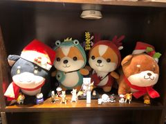 -逗柴咖啡屋·狗咖猫咖宠物桌游