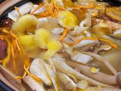 -菌之家·专业纯野生菌火锅·特色炒菌