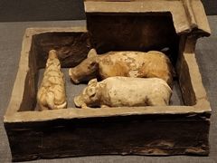 -广西壮族自治区博物馆