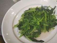 -宋园上海菜(静安店)