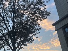 -上海市贸易学校(赤峰路院区)