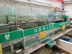 -喜洋洋蟹庄(阳澄湖店)