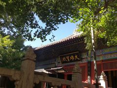 -红螺寺