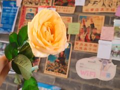 -浔岚云舍mist静谧观景美宿(丽江古城店)