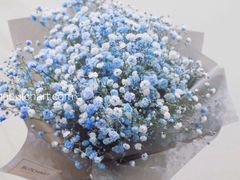 -Butchart布查德鲜花(花艺设计中心)