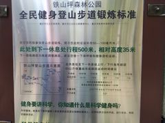 -铁山坪森林公园