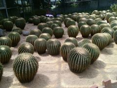 -广东茂名森林公园