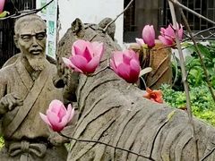 -晓港公园