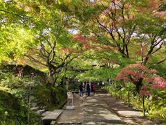 -常寂光寺