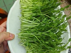 -扬之阿李菌汤火锅(1969店)