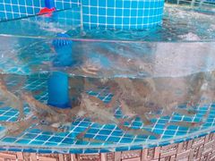 -蓝珊甄选海鲜自助·火锅大排档(近阿那亚店)