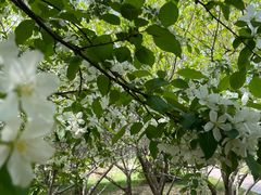 -长春公园(普阳街道)