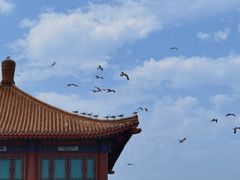 -八仙过海景区